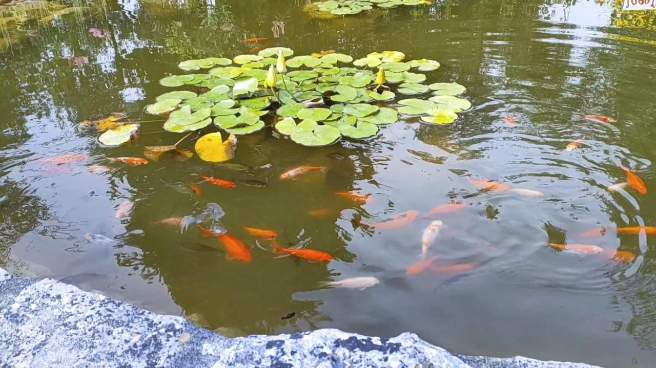 莱里亚Quinta Do Bamby别墅 外观 照片